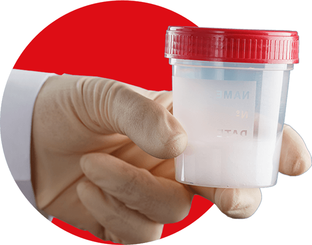 max-volume-hand-cup-sm